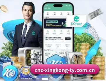 星空娱乐 APP 深度功能(Starsky)